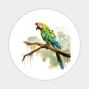 Military Macaw Magnet